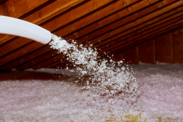 Professional Insulation Contractor in Winterville, GA