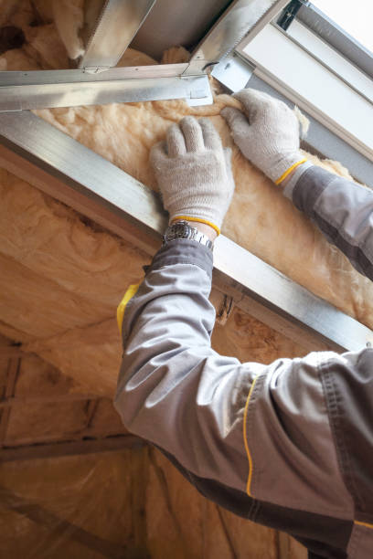 Best Insulation Repair Services  in Winterville, GA